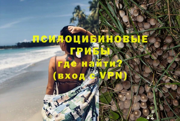 мескалин Абаза