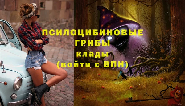 гашик Абдулино